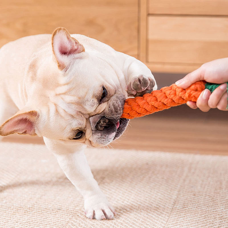 Dog Toys 3 Puppy Teething Chew Toys,Dog Chew Toys Rope Toys,Cat Chew Toys,Safe Braided Rabbit Toys Healthy Gift carrots - BeesActive Australia