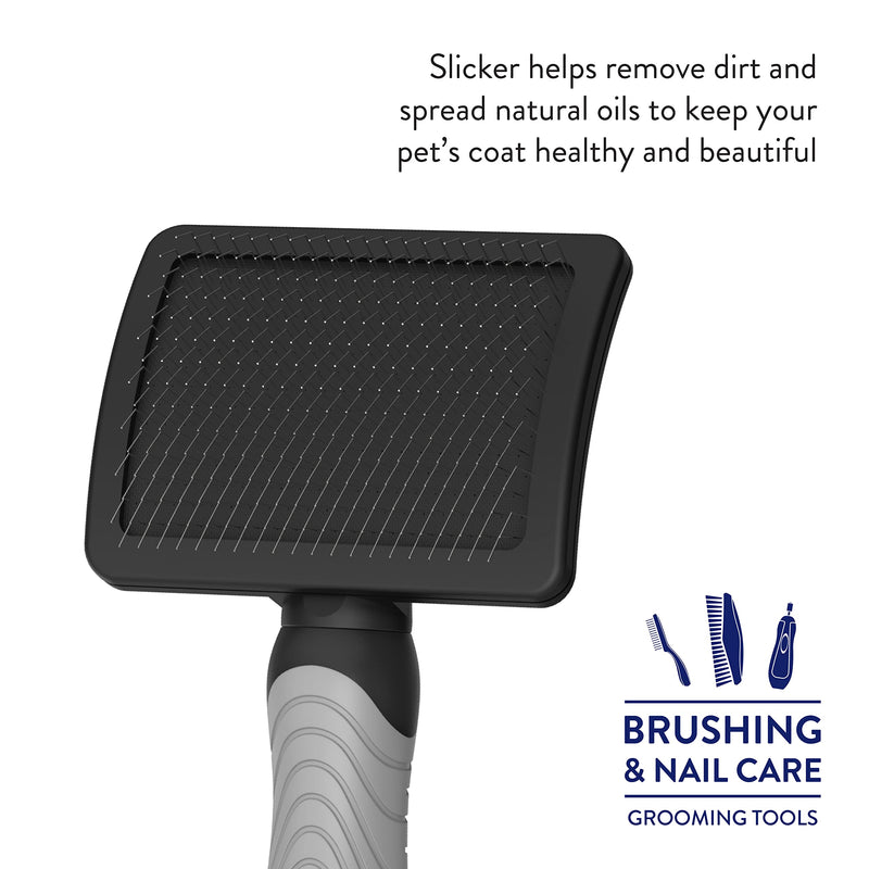 Wahl Professional Animal Pet Grooming Brush Slicker Brush - BeesActive Australia