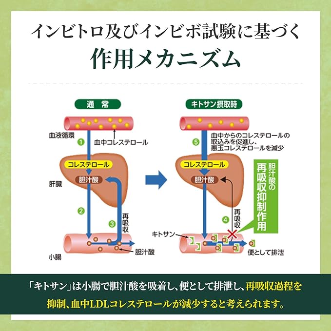 Taisho Pharmaceutical Colescare Chitosan Green Juice 3g x 30 bags Food with Function Claims For those with high LDL (bad) cholesterol Chitosan Green Juice Organic Barley Grass Made in Kyushu Ultra Fin - BeesActive Australia