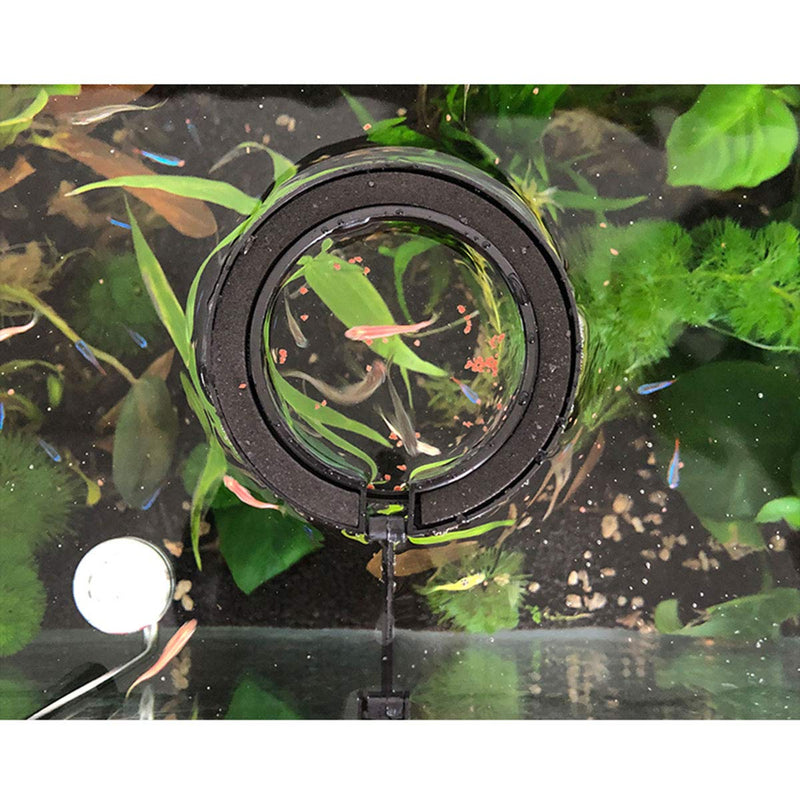 E-outstanding 2pcs Fish Feeding Ring Tropical Fish Food Ring Aquarium Fish Tank Accessories Water Plant Buoyancy Suction Cup (1 x Round Shape and 1 x Square Shape), Black - BeesActive Australia