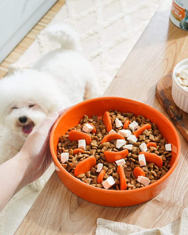 LE TAUCI Dog Bowl Slow Feeder Ceramic, 1.5 Cups Slow Feeding Dog Bowl Small Medium Breed, Puppy Slow Feeder Bow for Fast Eaters, Dog Dishes to Slow Down Eating, Puzzle Dog Food Bowl - BeesActive Australia
