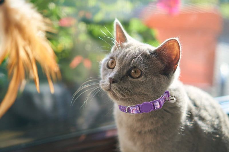 Ewinoom Adjustable Cat Collars Pack of 2 Breakaway Floral Cute Cat Collar with Bell for Female Kitten Neck 7.5"-11.4" Floral Pink + Purple - BeesActive Australia