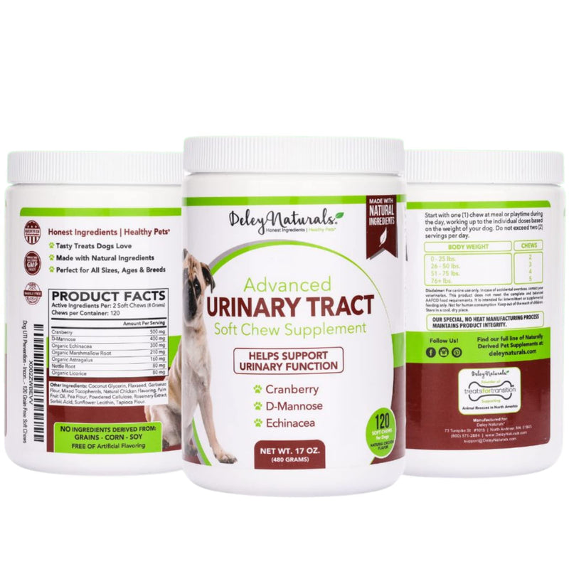 Dog UTI Prevention - Incontinence, Bladder, Kidney & Immune System Support - Cranberry Pills for Dogs - D-Mannose & Echinacea - Made in USA, Chicken, All Natural - 120 Grain Free Soft Chews - BeesActive Australia