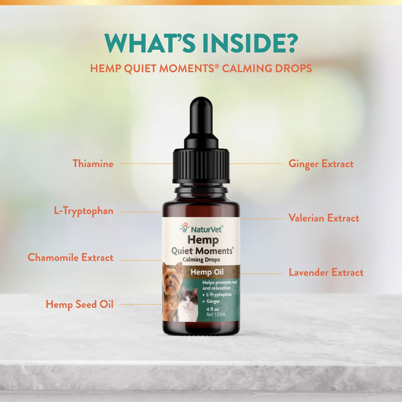 NaturVet Quiet Moments Calming Drops for Cats & Dogs – Helps Reduce Pet Stress, Promotes Relaxation – Dog Supplement, Cat Supplement Includes L-Tryptophan, Ginger, Chamomile 4 fl oz - BeesActive Australia