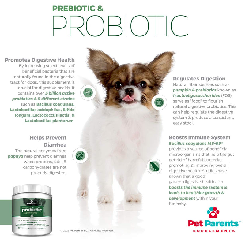 Pet Parents USA Pre & Probiotics for Dogs 4g 90c - 5.5B CFUs/Chew + Dog Enzymes + Pumpkin for Dogs, Papaya & Canine Probiotics - Dog Upset Stomach Relief, Anti Diarrhea for Dogs, Dog Probiotics - BeesActive Australia