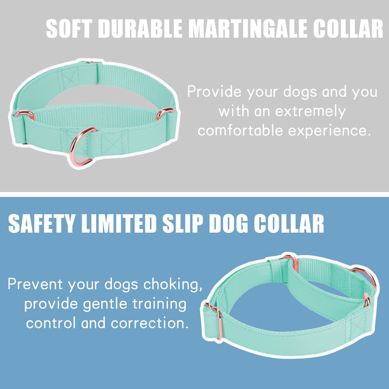 Soft Leather Martingale Dog Collar - Adjustable Rose Gold Limited Slip Collars [Easy to Clean], Stylish Durable Heavy Duty Nylon No Pull Training Collar for Small Medium Large Dogs XS (Neck 8"-11", Width 3/5") Mint Green - BeesActive Australia