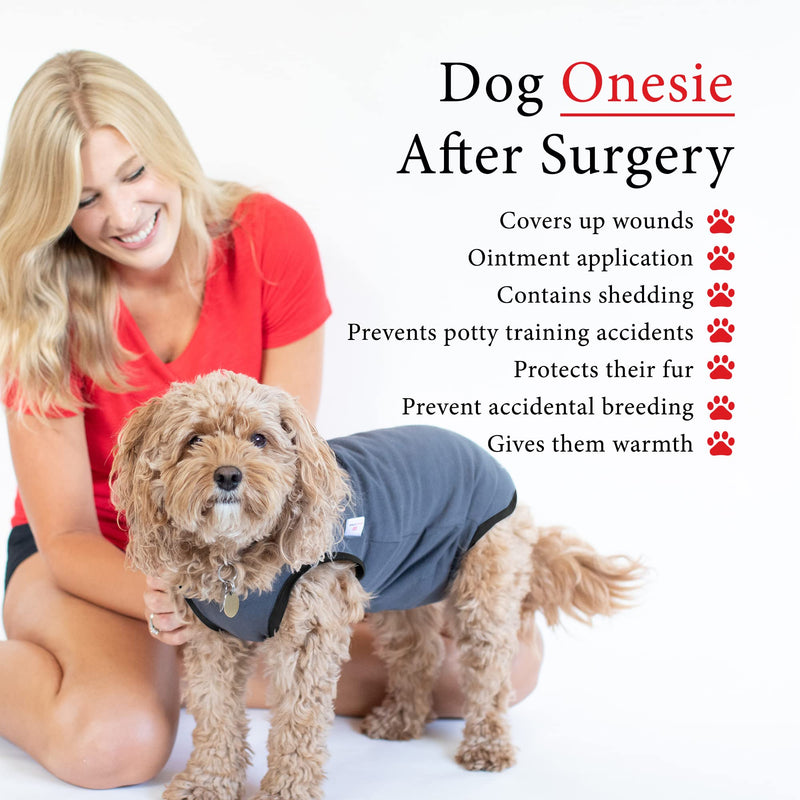 BellyGuard - After Surgery Dog Onesie, Recovery Suit for Dogs, Comfortable Substitute for Cone for Dogs After Surgery,Dog Recovery Suit with Stretch-Fit Cotton Material and Adjustable Rear Flap Medium Grey - BeesActive Australia