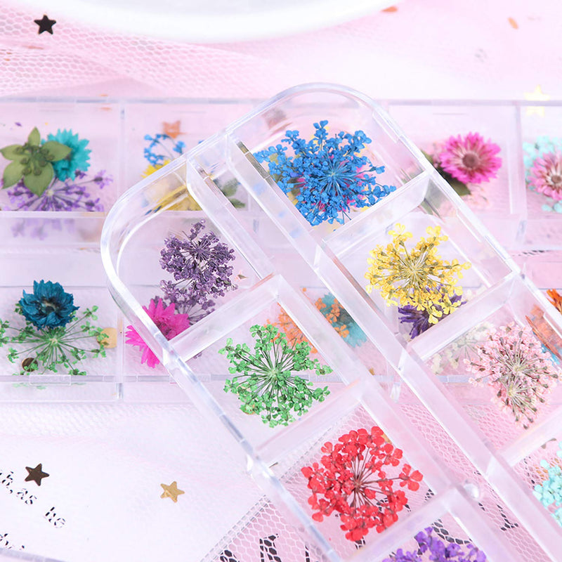 78 Pcs Dried Flowers Nail Art, 3 Boxes of Mini Real Natural Nail Decals 3D Nail Beauty DIY Stickers Used for Nail Salon Design Manicure Decoration Supplies Dry Flower Kit with a Curved Tweezers - BeesActive Australia