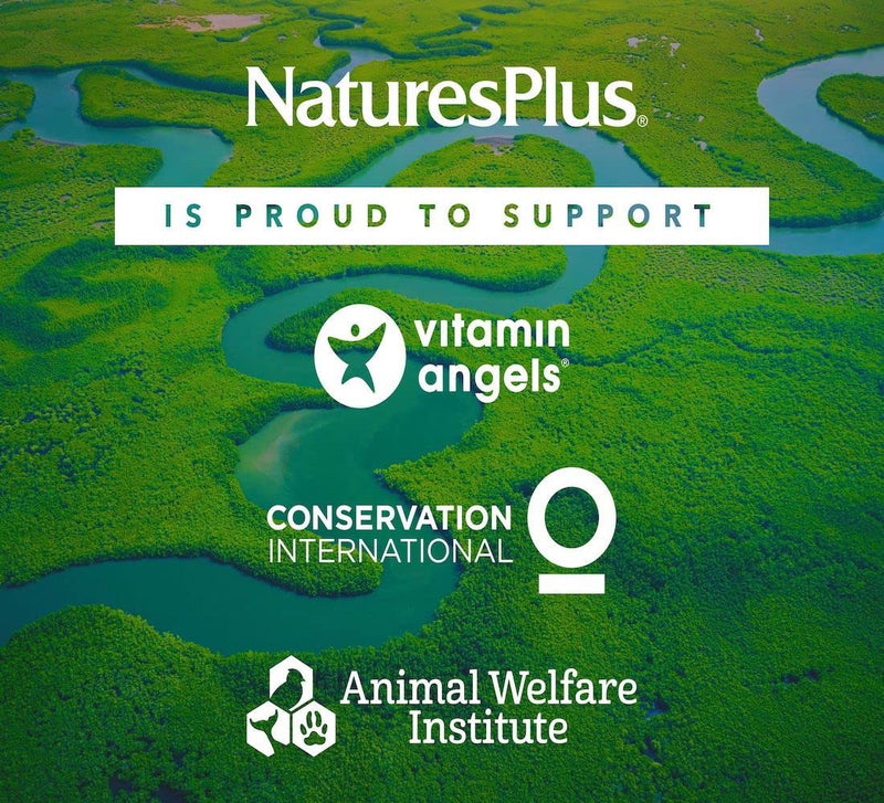 NaturesPlus Icelandic Kelp - Natural Iodine Supplement from Kelp, Easy One A Day - Vegetarian, Gluten Free - 300 Tablets - BeesActive Australia