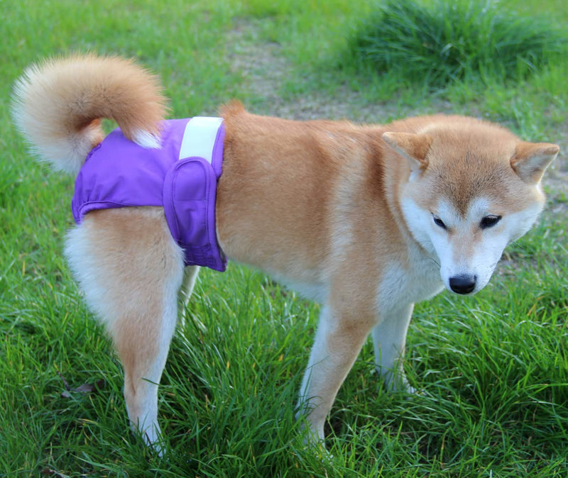 vecomfy Washable Dog Diapers Female for Small Dogs(3 Pack),Premium Reusable Leakproof Puppy Nappies XS Purple+Black+Strip - BeesActive Australia