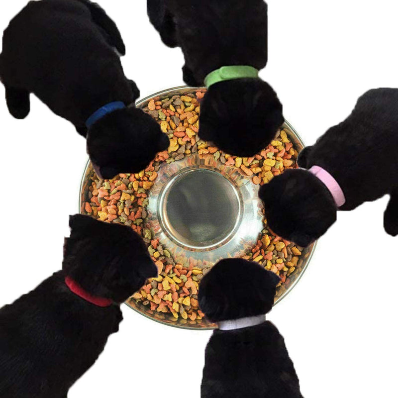 Yudansi Stainless Steel Puppy Weaning Bowls,Cat Bowls for Food Water, Puppy Feeder Bowl Whelping Dishes,Litter Feeding Bowls for Multiple Puppies Cats Eating at the Same Time for Small Medium Large Dogs 10.2in-2pcs - BeesActive Australia