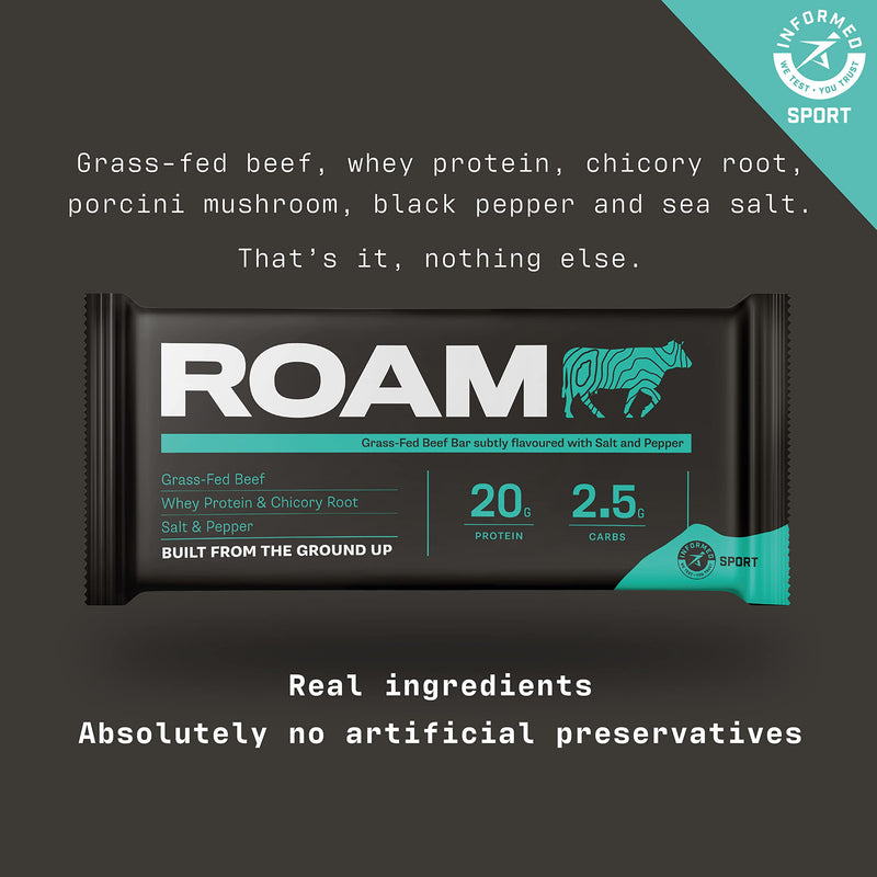 ROAM Natural Protein Bars, Meal Replacement Nutrition Bars, High Protein And Low Carb, Ideal For Healthy Diet (Original, 6 Count (Pack of 1)) - BeesActive Australia