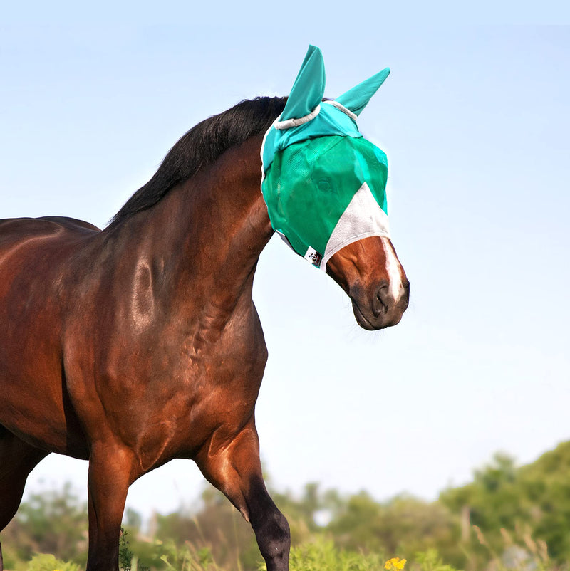 Downtown Pet Supply - Horse Fly Mask with or Without Ears/Nose - Horse Mesh Face Mask or Horse Face Cover with Velcro Straps and Fleece Lined Ear Holes With Ears L - BeesActive Australia