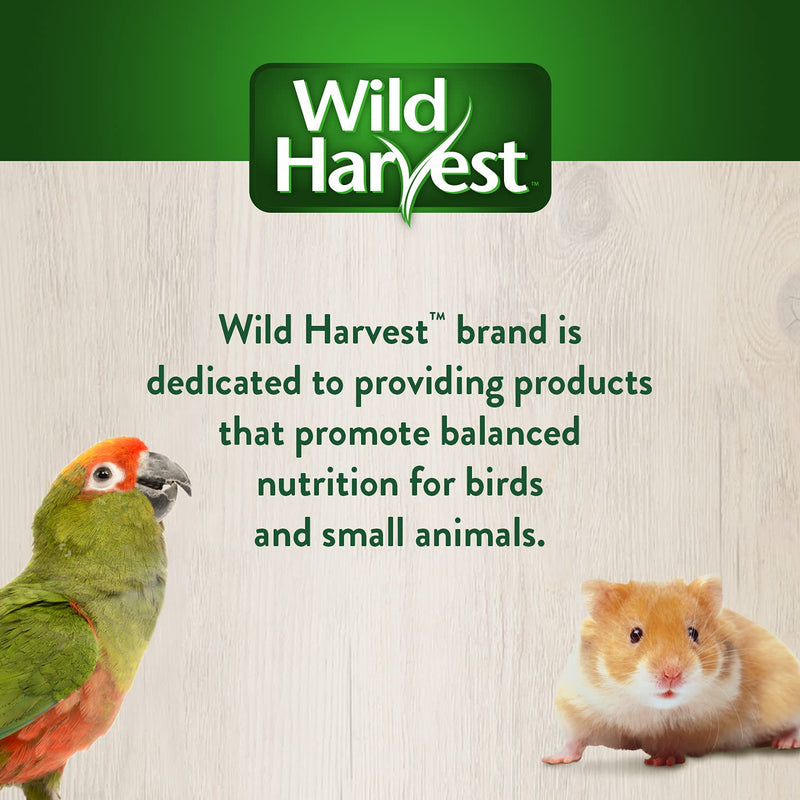 Wild Harvest® Foraging Instincts Roll n’ Play Interactive Treat, 3 Count, for Pet Mice, Rats, Hamsters and Gerbils - BeesActive Australia