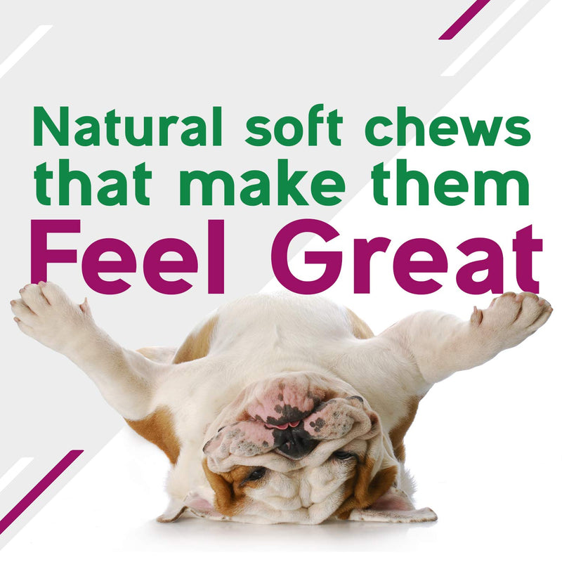 Digestive Supplement for Dogs Best Probiotic for Dogs That Helps with Diarrhea Upset Stomach Bad Breath and Constipation by Genuine Naturals120-Count - BeesActive Australia