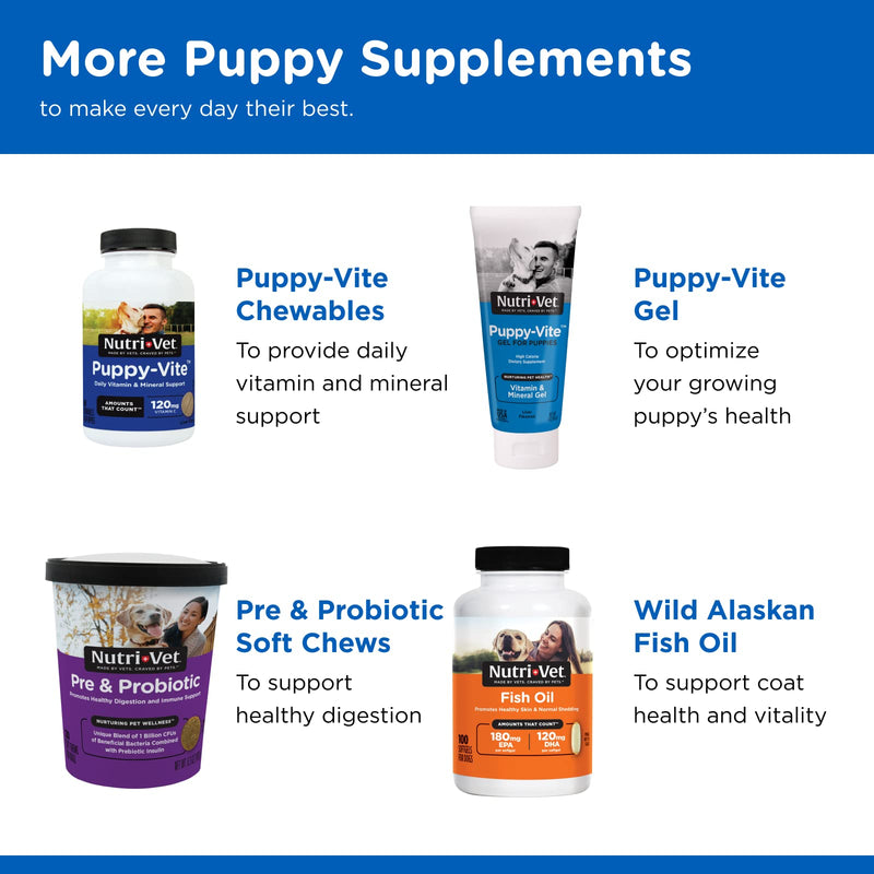 Nutri-Vet Milk Replacement For Puppies | Healthy Gut Support with Probiotics | 12 Ounces - BeesActive Australia