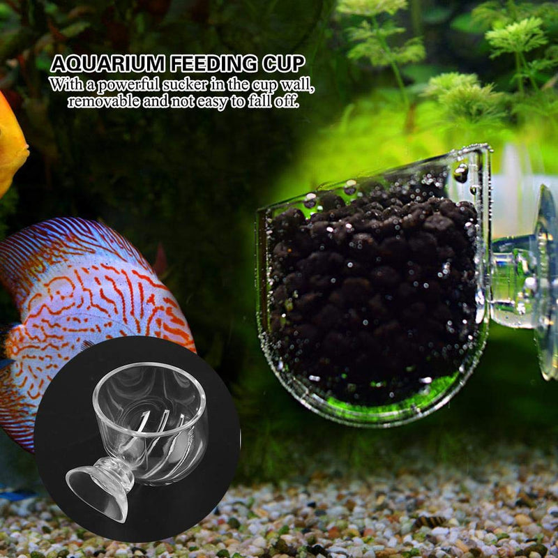 Aquarium Worms Feeder Live Red Worm Feeding Cone Cup Transparent Acrylic Fish Tank Brine Shrimp Feeder Crystal Glass Plant Feeding Container Holder with Suction Cups - BeesActive Australia