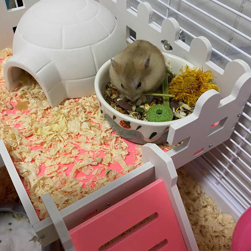 Hamster Food Bowl,Small Animals Ceramic Food Water Bowl Prevent Tipping Moving for Guinea Pig Rabbit Gerbil Chinchilla Hedgehog Rat (2 Pack) (- Color: Purple + Blue) - BeesActive Australia
