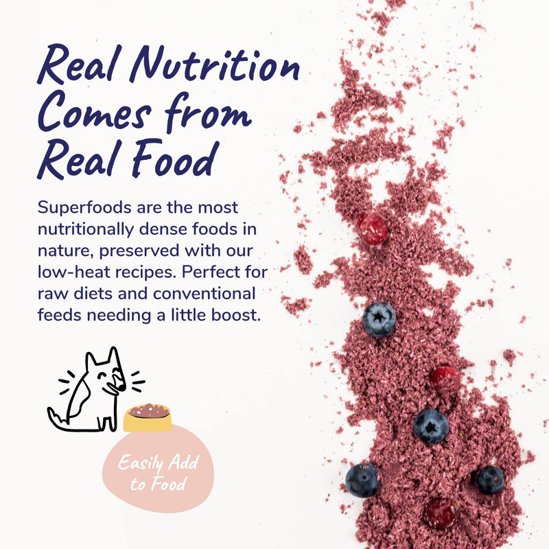 kin+kind Dog Supplement Powder - Cranberry Supplement for Dogs and Cats for Healthy Immunity - Cat & Dog Bladder Support - Natural Formula with Organic Cranberry, Blueberry and Coconut - Made in USA 8 Ounce (Pack of 1) - BeesActive Australia