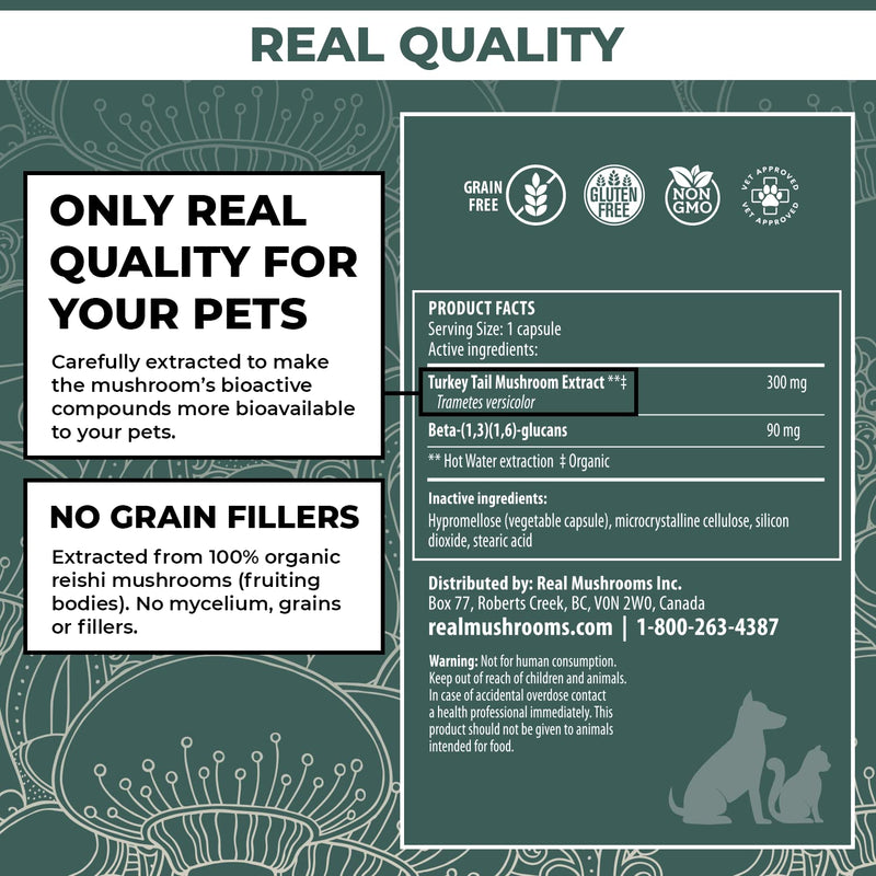 Turkey Tail Pet Support - Dog Multivitamins and Supplements for Immune Support, Gut Health & Wellness - Grain-Free, Gluten-Free, Vet-Approved Dog Supplement (90ct) - BeesActive Australia