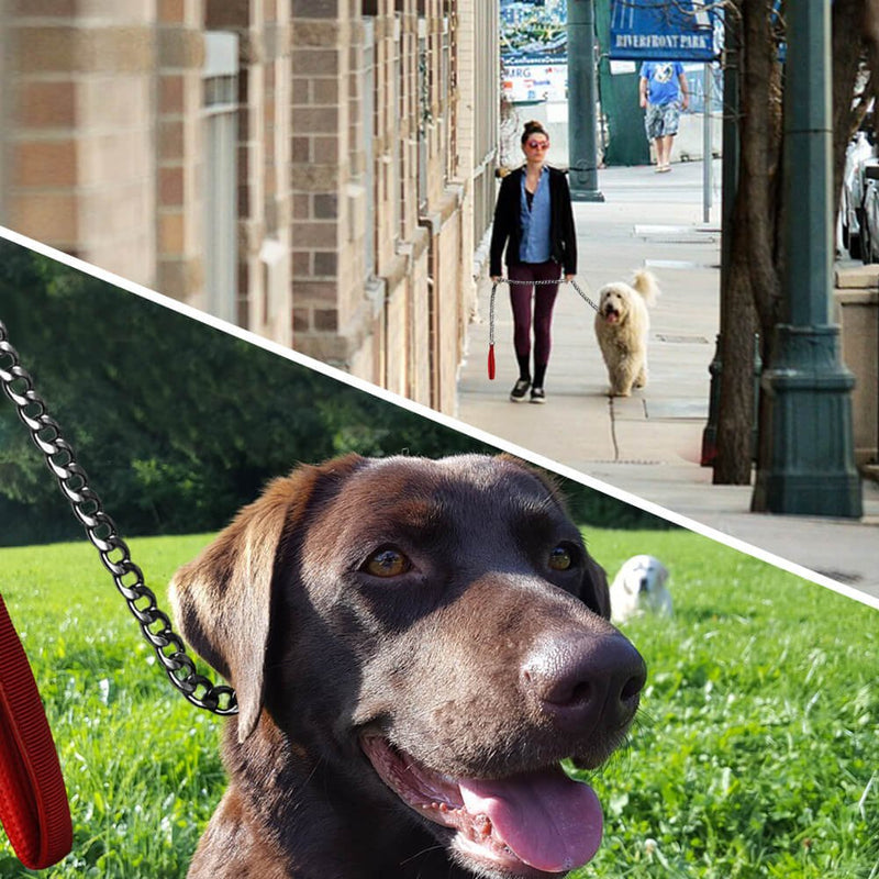 WATFOON Premium Extra Heavy Duty Dog Chain Leash,Perfect Metal Dog Leashes with Soft Padded Leather Handle for Large & Medium Size Pets Walking,Traffic Training and Traveling Black - BeesActive Australia