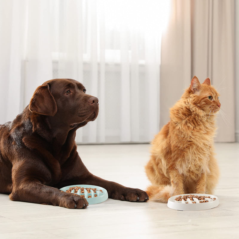2 Pack Cat Slow Feeder Bowl Fishbone Slow Feeder Cat Bowl Puzzle Interactive Cat Feeder Dish Anti Gulping Pet Bowl for Cat and Dog Slow Eating to Against Bloat, Indigestion - BeesActive Australia