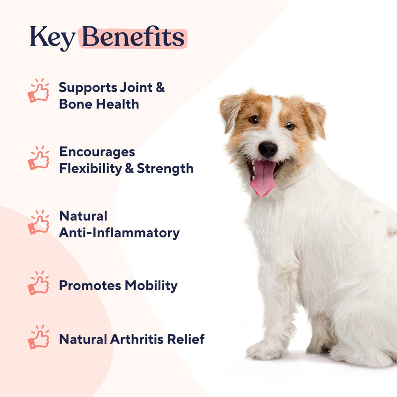 Pawfy Hip & Joint Soft Chews | Total Joint Care | Anti-Inflammatory | Arthritis Relief | Strength & Flexibility | Natural Recovery | with Glucosamine + Chondroitin - BeesActive Australia
