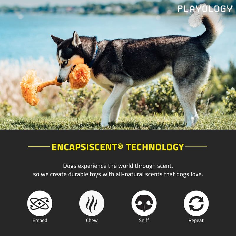 Playology Dri-Tech Ring Dog Toy - Engaging All-Natural Scented Dog Toys for Small, Medium & Large Dogs - Interactive & Tough Non-Toxic Chew Toys for Teething Large Rope Cheddar Cheese - BeesActive Australia