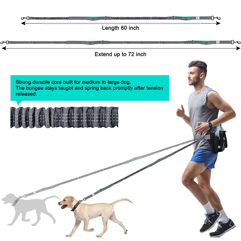 SHINE HAI Retractable Hands Free Dog Leash with Dual Bungees for Dogss, Adjustable Waist Belt, Reflective Stitching Leash for Running Walking Hiking Jogging Biking Blue For 2 Dog - BeesActive Australia