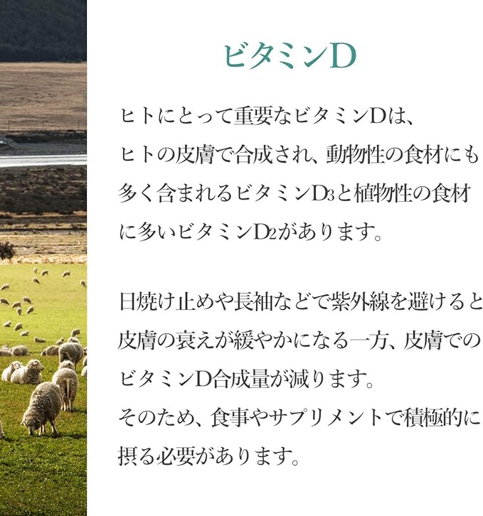 Supervised by a doctor Dr.Formula Vitamin D (contains 1,000IU of vitamin D3) 60 tablets 60 days supply Made in Japan - BeesActive Australia