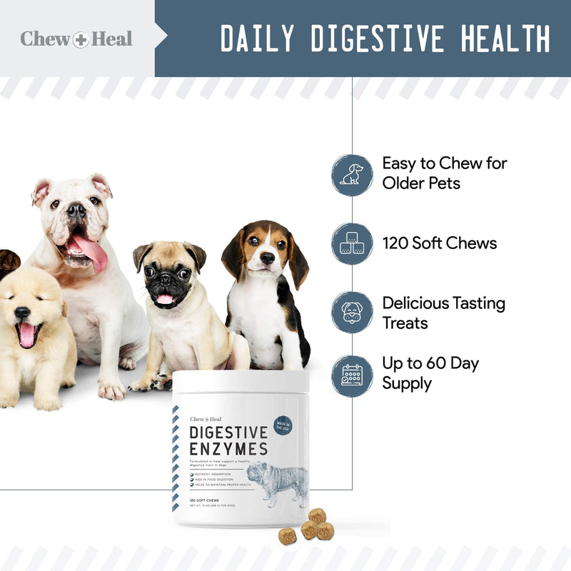 Chew + Heal Digestive Enzymes with Probiotics for Dogs - 120 Soft Chew Treats - Supports Healthy Digestive Tract, Helps Nutrient Absorption, Food Digestion, and Health Maintenance - Made in The USA - BeesActive Australia