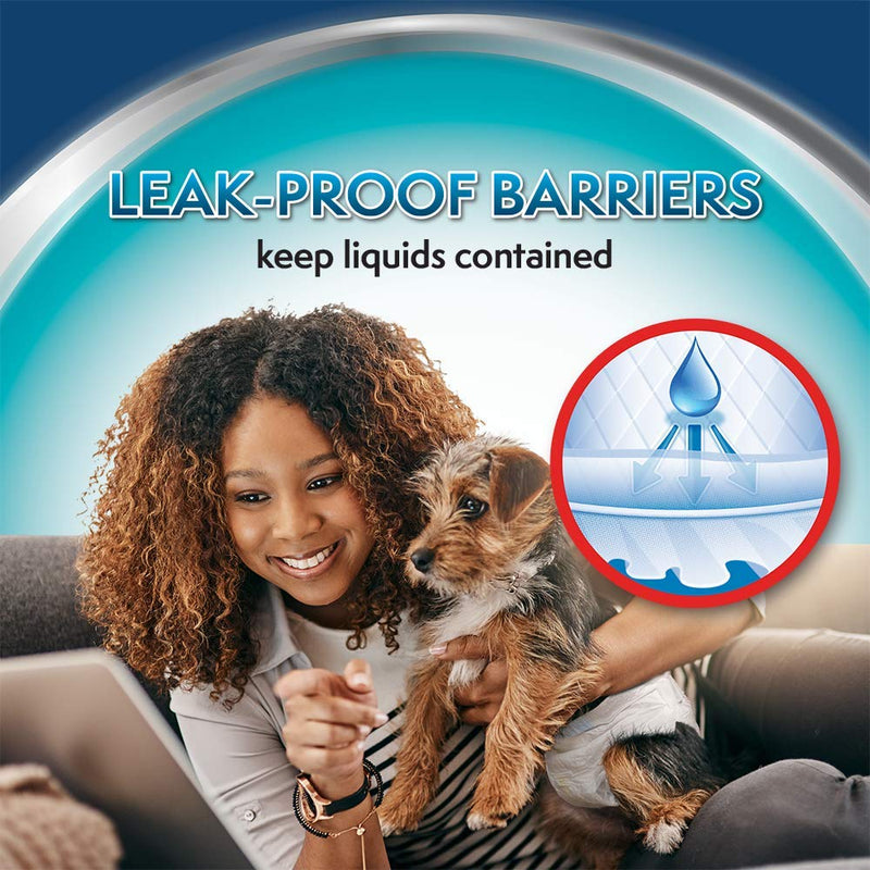 Simple Solution Disposable Dog Diapers for Female Dogs | Super Absorbent Leak-Proof Fit X-Large 12 count - BeesActive Australia