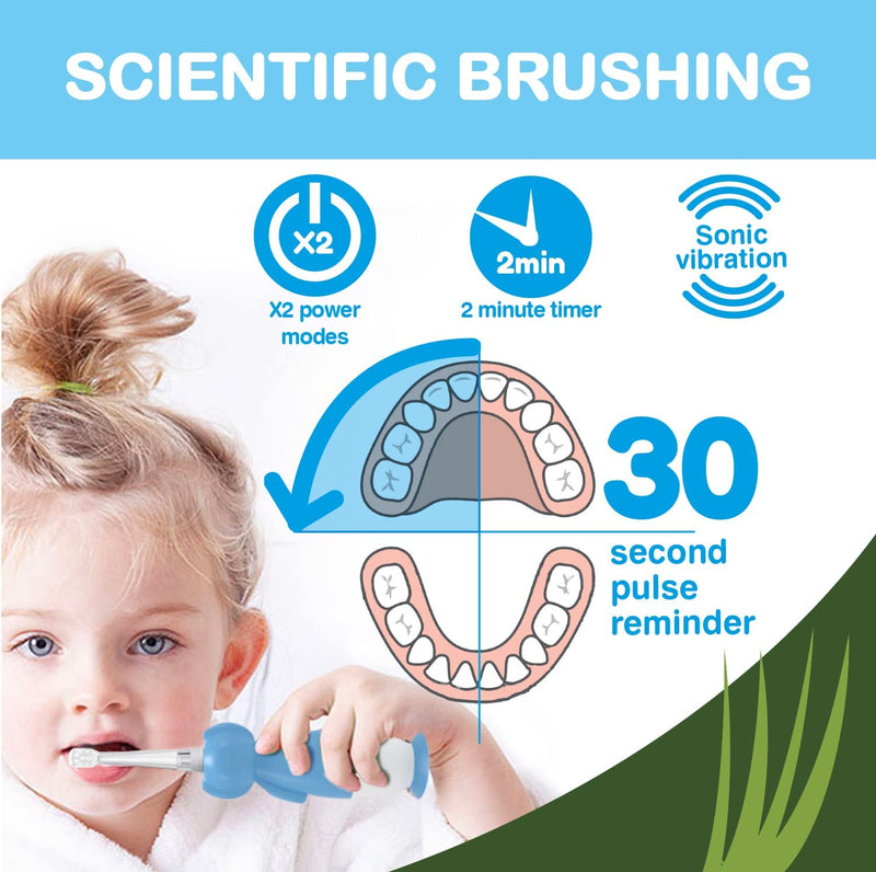 Brush-Baby WildOnes Kids Electric Rechargeable Toothbrush, 1 Handle, Brush Head, USB Charging Cable, for Ages 0-10 (Tiger) Tiger - BeesActive Australia