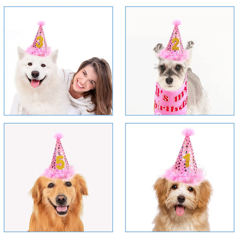 Dog Birthday Party Supplies - Dog Girl Birthday Bandanas Set with Dog Birthday Hat, Scarf, Birthday Banner, Balloons and Bowtie. Puppy Dog Pals Birthday Party Decorations.… A-pink - BeesActive Australia