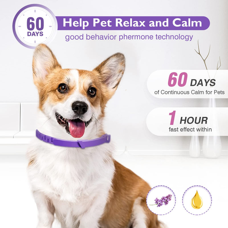 Dogs Calming Pheromones Collar 3 Packs Lasts 60 Days Relieve Reduce Anxiety or Stress 25 Inches Adjustable Relaxing Comfortable Collar Breakaway Design for All Small Medium and Large Dog Purple - BeesActive Australia