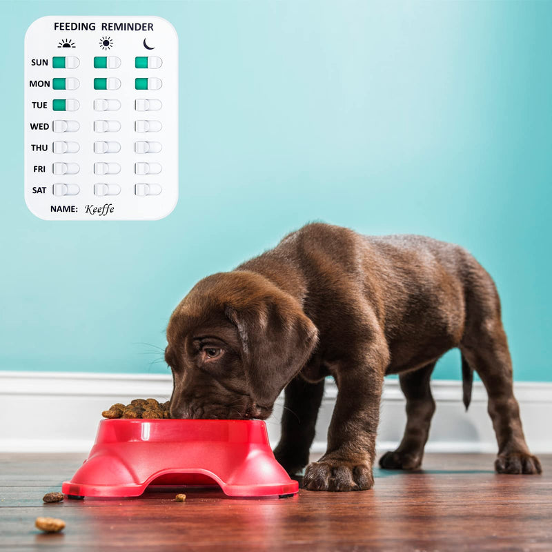 Coolrunner Pet Feeding Reminder Pet Feeding Reminder for Dogs Cats Pet Feed Reminder Magnetic or Double Sided Adhesive Prevent Overfeeding A Pattern - BeesActive Australia