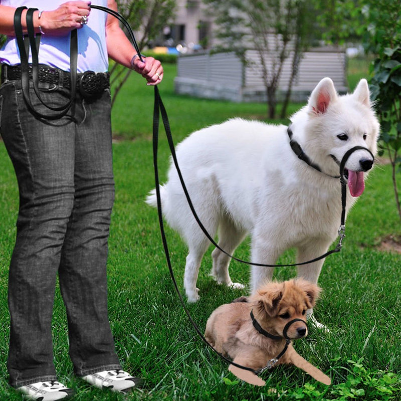 Dog Head Collar, Adjustable and Padded, No-Pull Training Tool for Dogs on Walks, Includes 1 Dog Leash and Free Training Guide, 3 S Black - BeesActive Australia