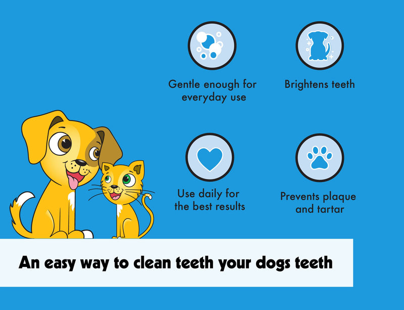 Petkin Plaque Remover Gel – Cleans Teeth and Gums, Removes Plaque and Tartar - Freshens Breath and Whitens Teeth with Baking Soda - Ideal for Daily Use, No Brushing or Rinsing - 4fl oz 1 Pack - BeesActive Australia