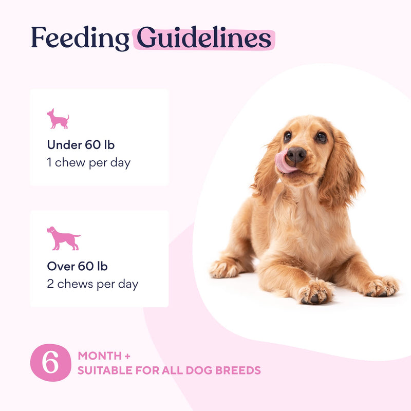 Pawfy Multivitamin Chews | 15 in 1 Premium Supplement | Immunity | Joints | Skin | Coat | Energy | with Vitamins, Oils & Minerals - BeesActive Australia