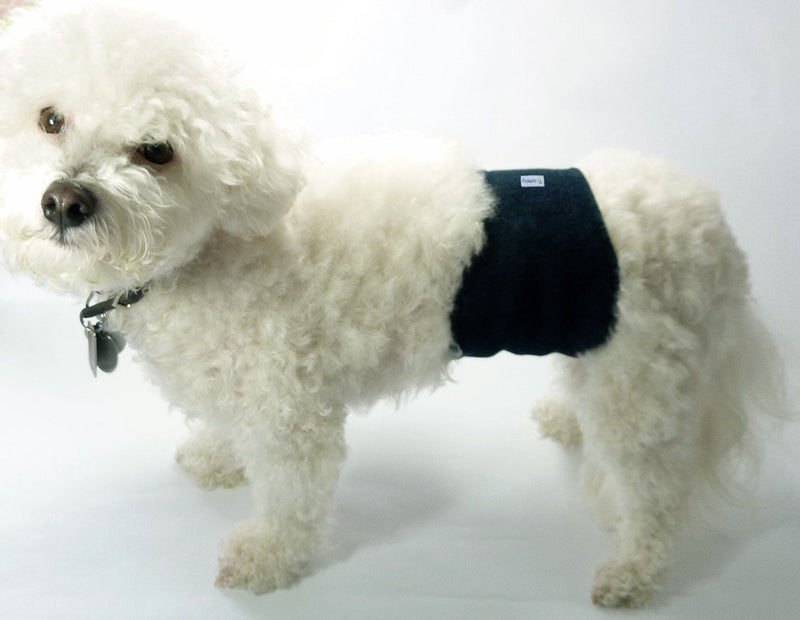Teamoy 4 Pcs Reusable Wrap Diapers for Male Dogs, Washable Puppy Belly Band M(13"-16"Waist) Black+ Gray+ Green+ Purple - BeesActive Australia