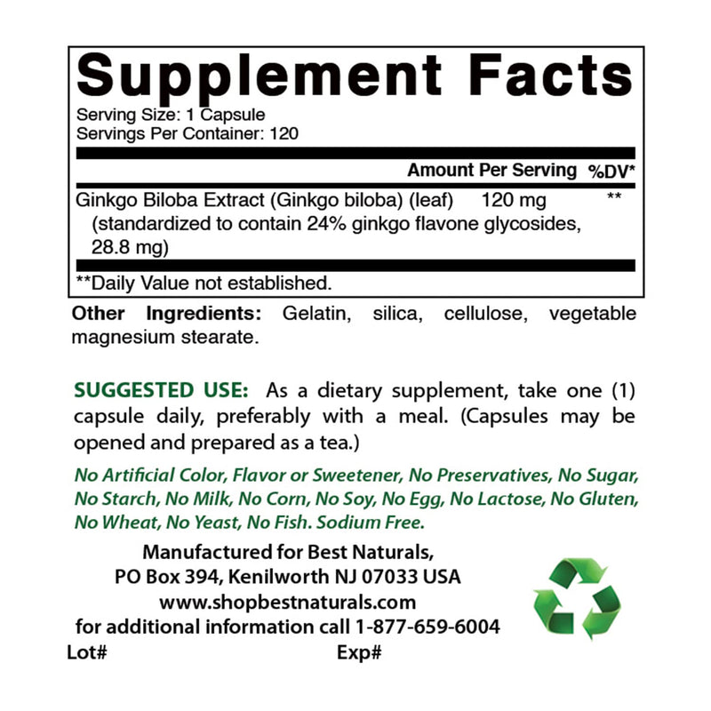 Best Naturals, Ginkgo Biloba Extract - Double Strength Ginkgo Biloba, 120mg, 120 Capsules (120 Count (Pack of 2)) - BeesActive Australia