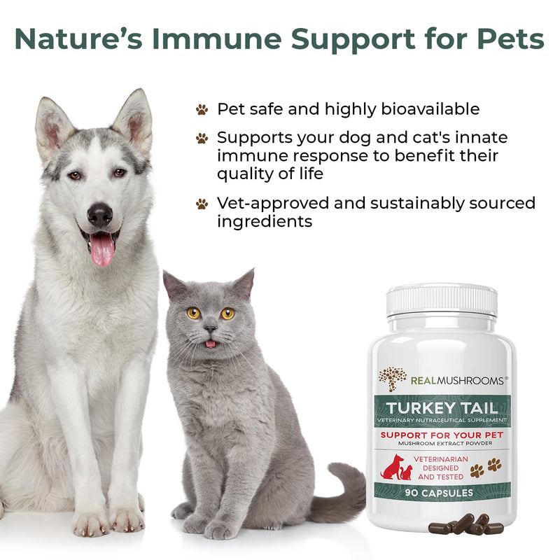 Turkey Tail Pet Support - Dog Multivitamins and Supplements for Immune Support, Gut Health & Wellness - Grain-Free, Gluten-Free, Vet-Approved Dog Supplement (90ct) - BeesActive Australia