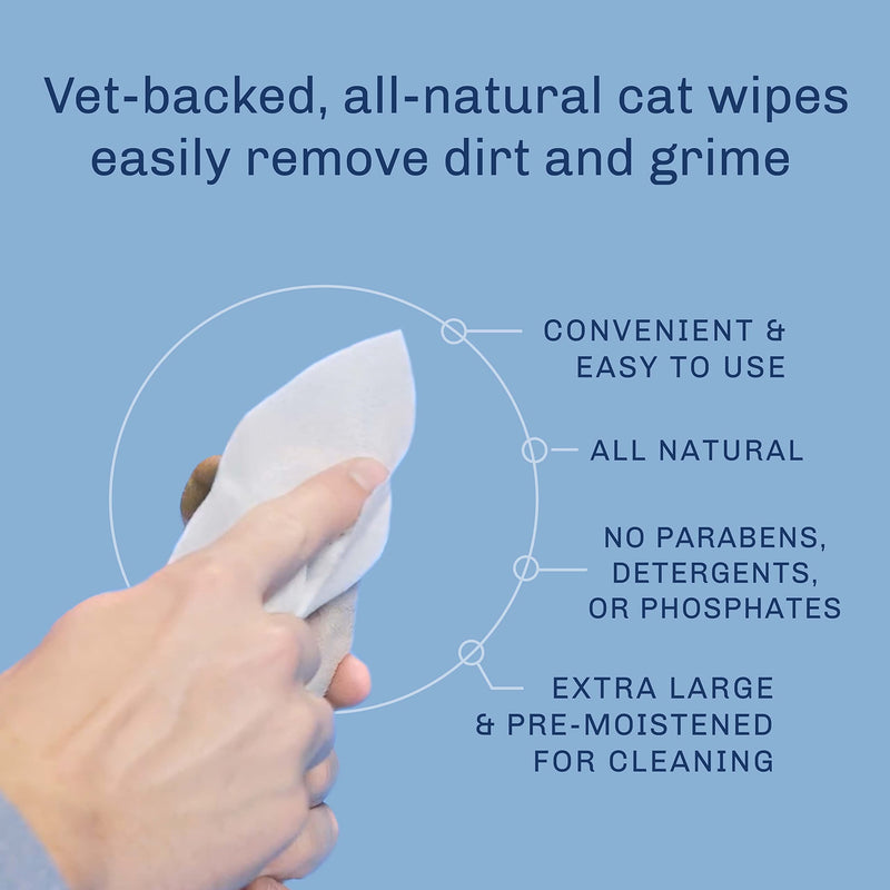 TrueBlue Paws, Coats, and Body Wipes for Dogs, Cats, Kittens, & Puppies - Extra Large – 8”x7” – 100 Count Milk & Honeysuckle Fresh Fur Cat Cleaning Wipes - BeesActive Australia