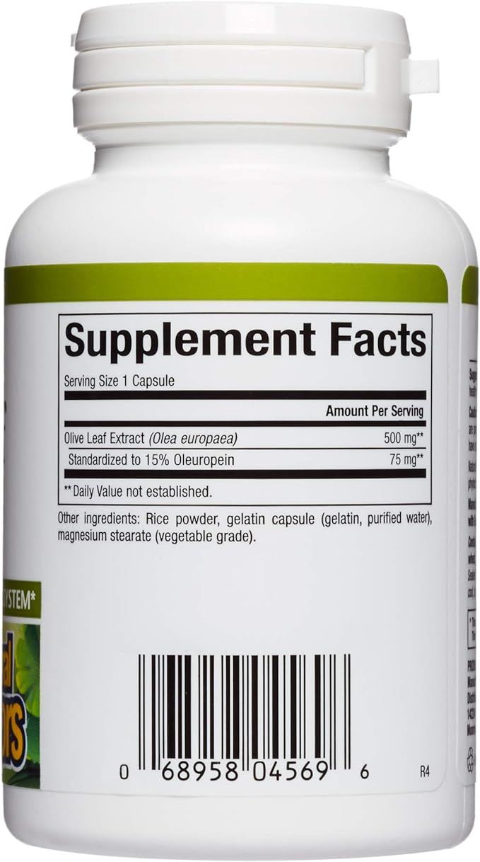 Natural Factors Olive Leaf Extract, 60 Caps 500 mg - BeesActive Australia