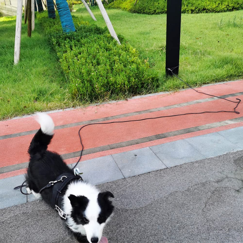 MayPaw Reflective Dog Tie Out Rope, 1/4" by 4m, 6m, 8m, 10m, 12m, 15m, 18m, 23m, 30m Long Tether for Yard Outdoor Medium Small Dogs / Puppy Training Lead 8m (26 Foot) Orange - BeesActive Australia