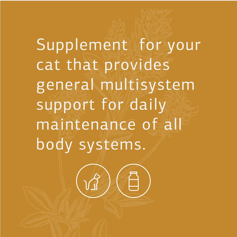 Standard Process - Feline Whole Body Support - Daily Supplement for Cats - 90 Tablets - BeesActive Australia