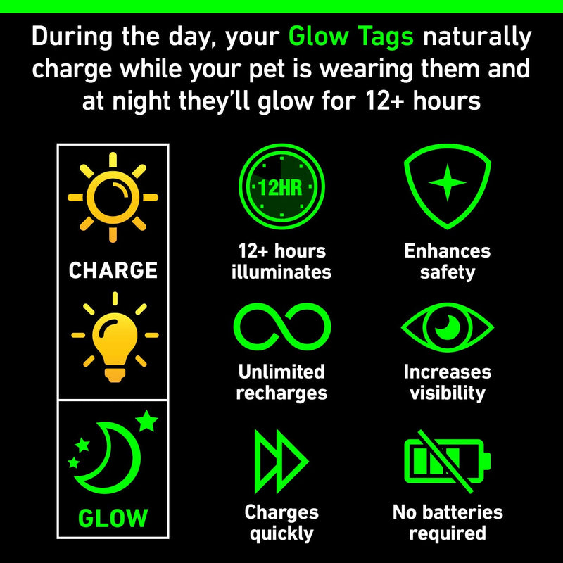 GLO-X Dog Glow Tag - Glow in The Dark Cat Tags to Keep Your Pets Safe at Night - 12+ Hours Glow Time - Charges in Daylight - No Batteries Required 1.38” x 1.10” Diameter - BeesActive Australia