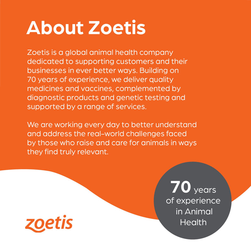 Zoetis Quest Gel 14.4gm - BeesActive Australia