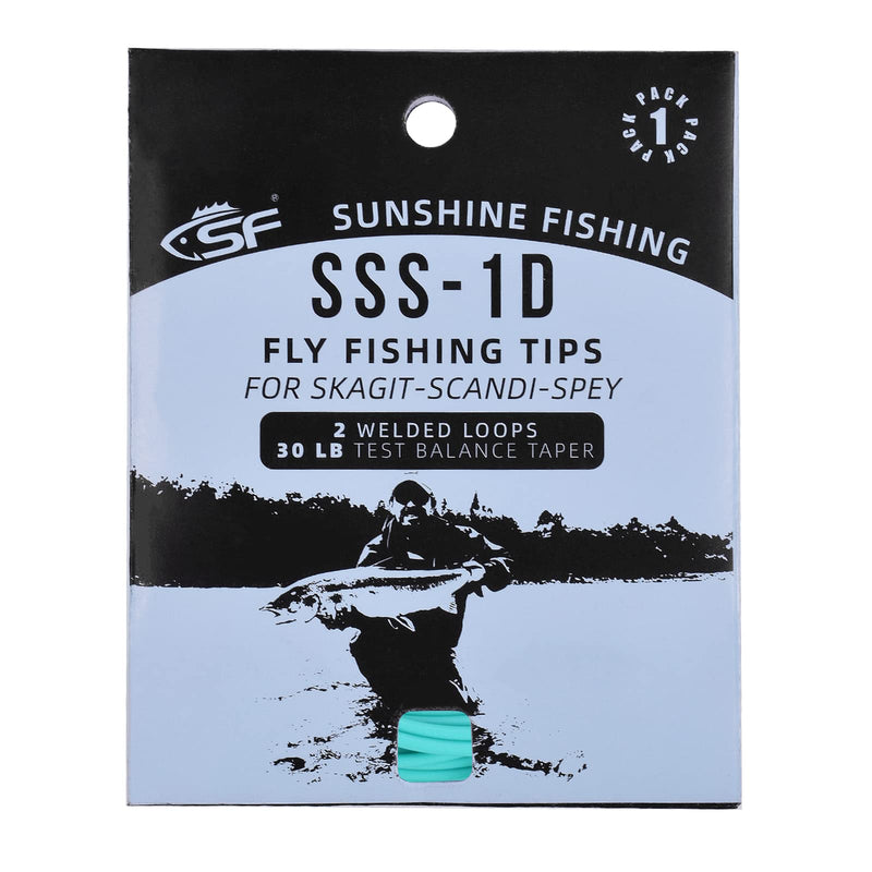 SF Skagit Tips Scandi 1D with 2 Welded Loops 10/12/15FT Fly Fishing Spey Line Tip Multi-Color for Salmon Steelhead (90/110/125GR) Mint-Intermediate 10', 90 Grains - BeesActive Australia