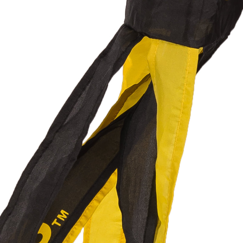 College Flags & Banners Co. Iowa Hawkeyes Windsock - BeesActive Australia